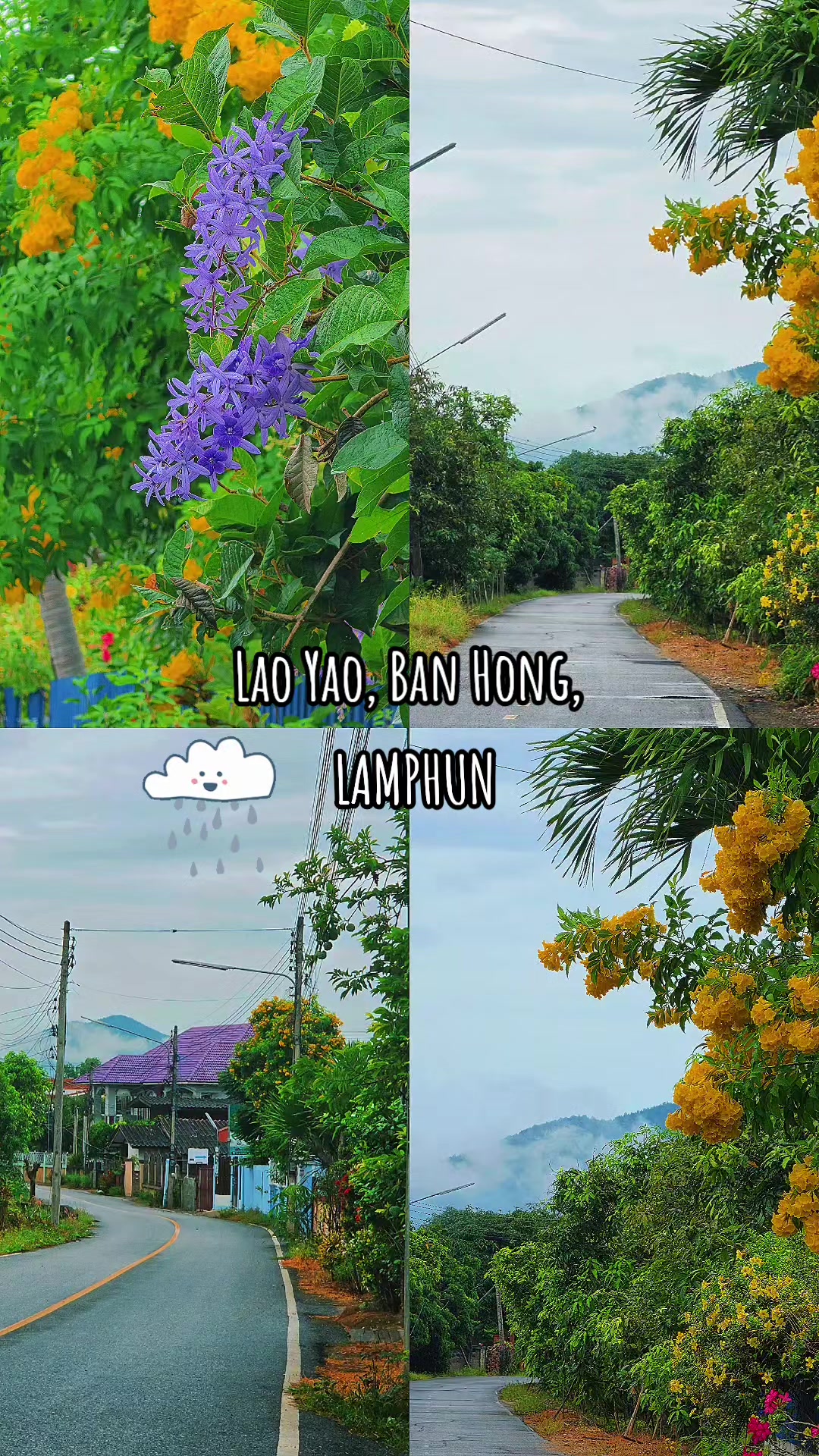 @ชไมชอบกินมัทฉะ🍵🌱🌸