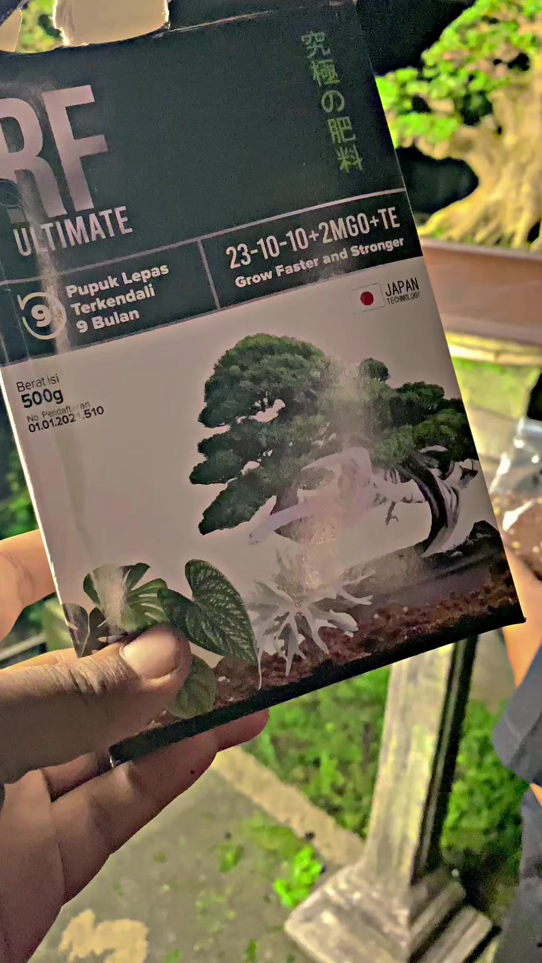 @“Cris Art Bonsai”