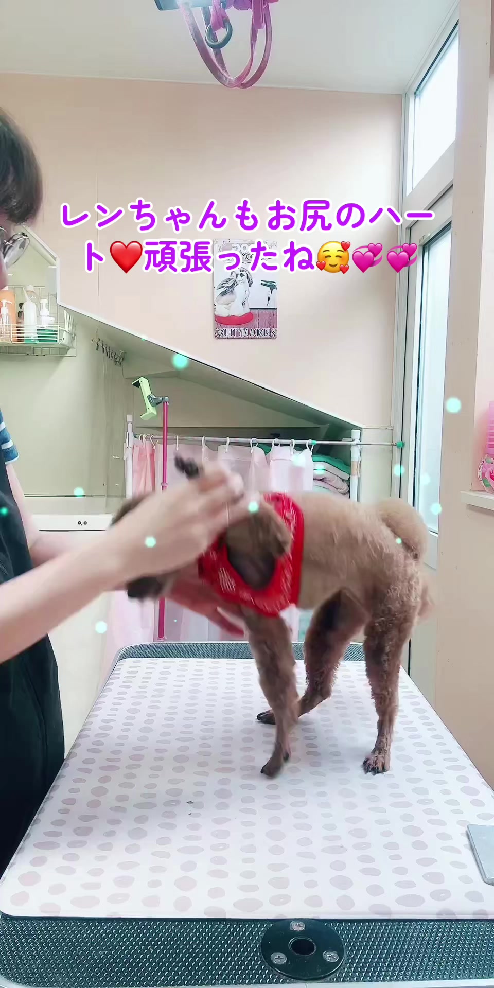 @❤️ぷりママ❤️