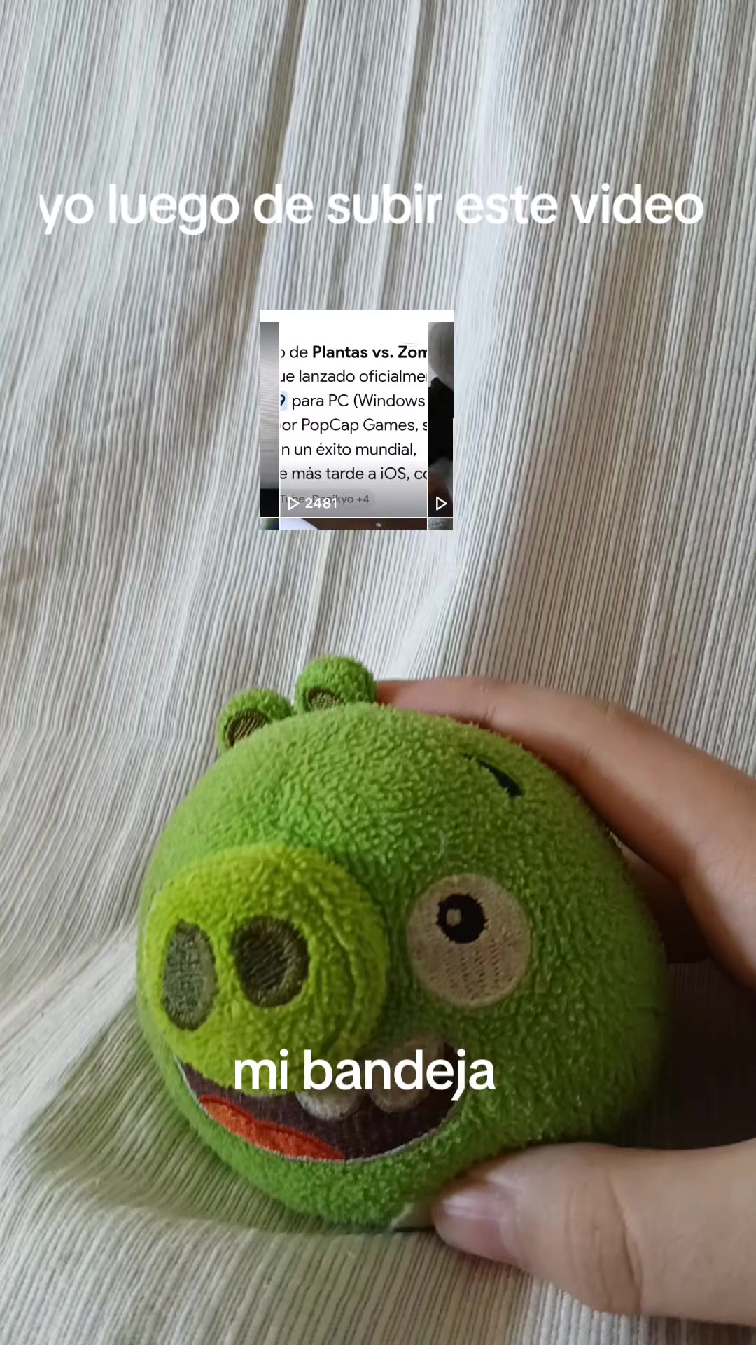 @meryacu10911