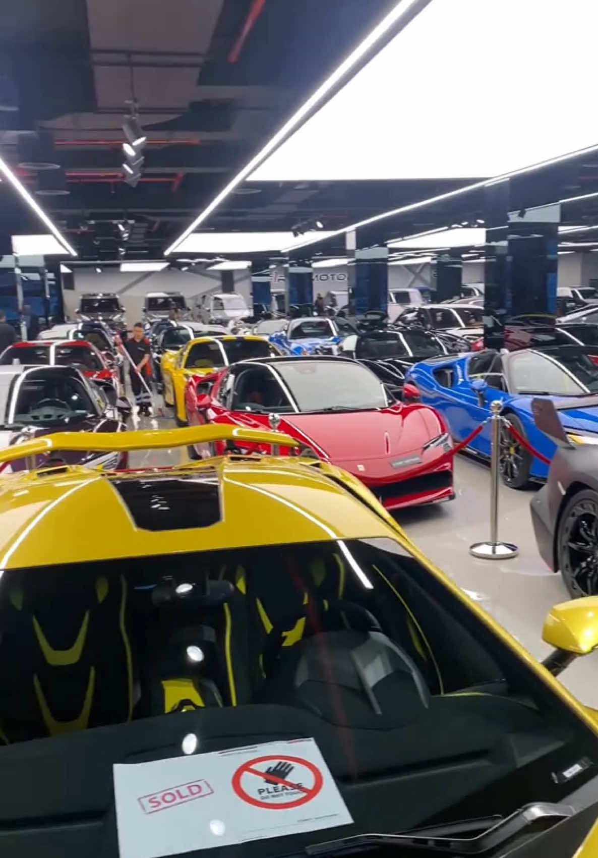 @Biscayne Supercars