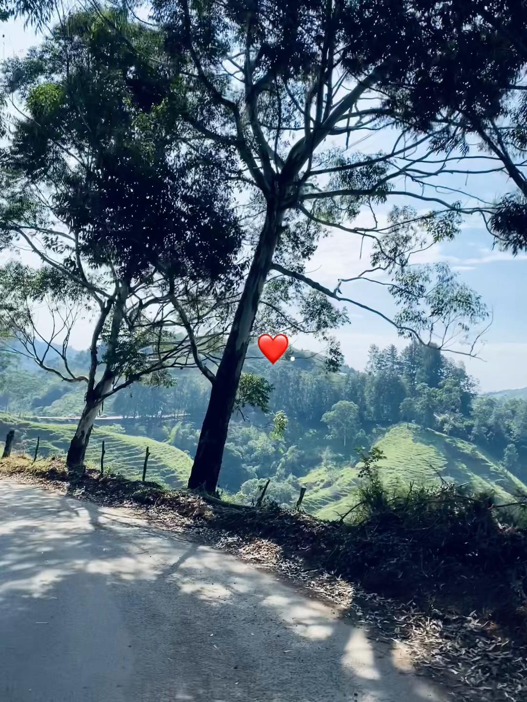 @Andrea 🍒