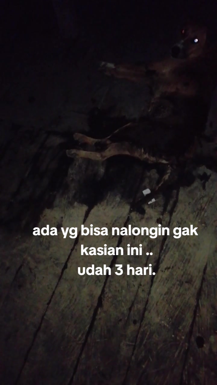 @Bang alex