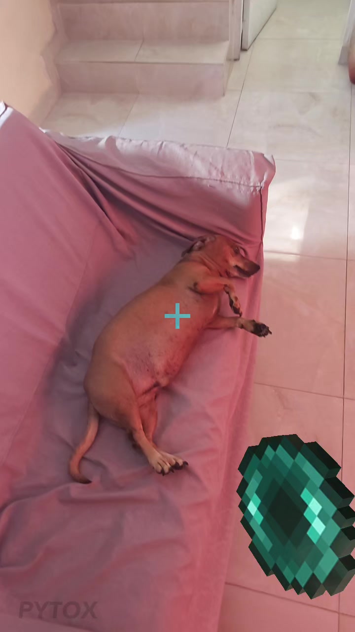 @Kobegus24
