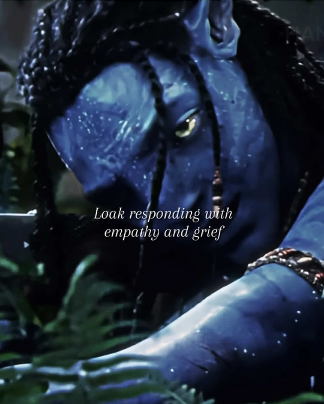 @𝓗_𝓪𝓷𝓲𝓵𝓾