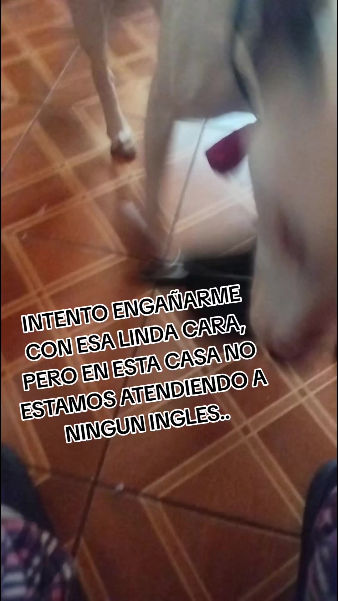 @Severus/Sparky 🐶🐶