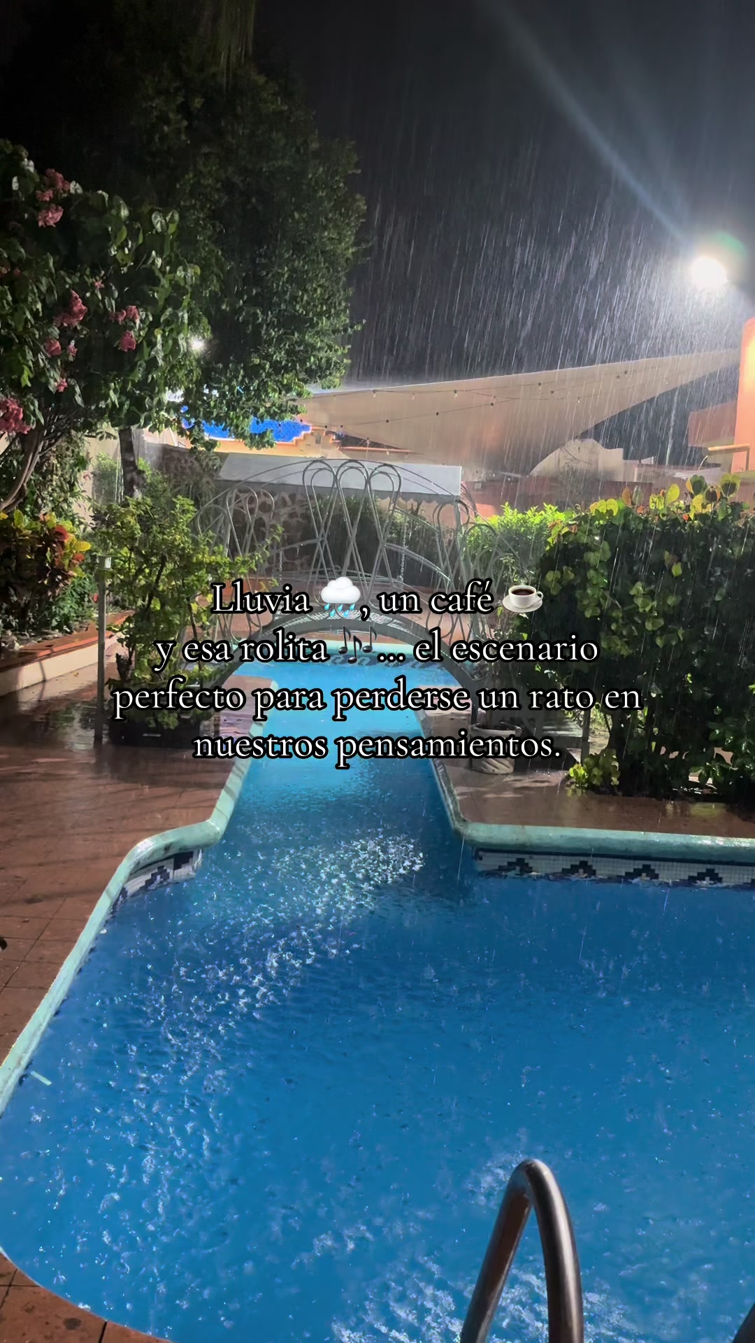 @David Flores Hdz