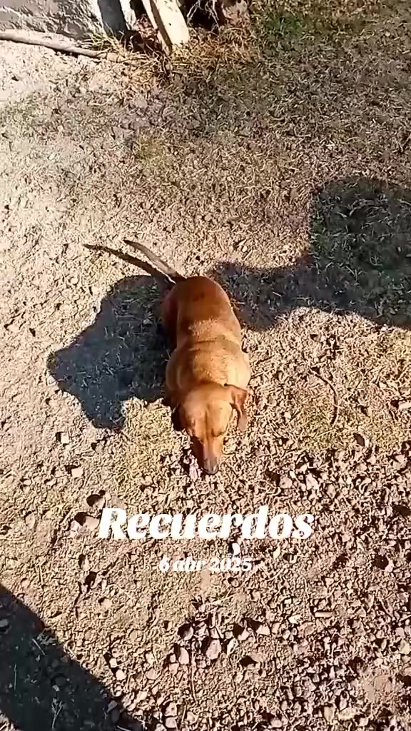 @J M R C