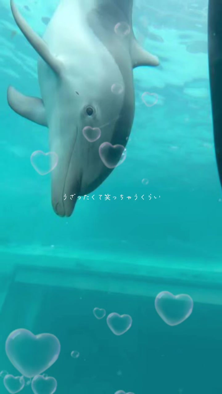 @ぽんこつ☀️おっぴぴ☝️💭💭