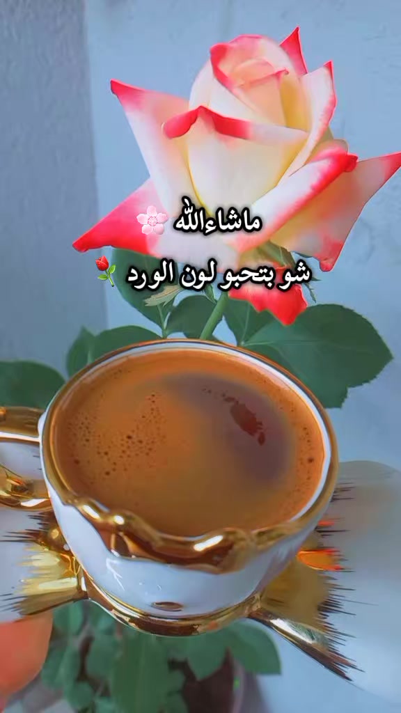 @حـنـ𓆩❥્᭄͜͡ـين🧸 𝑯𝒂𝒏𝒆𝒆𝒏