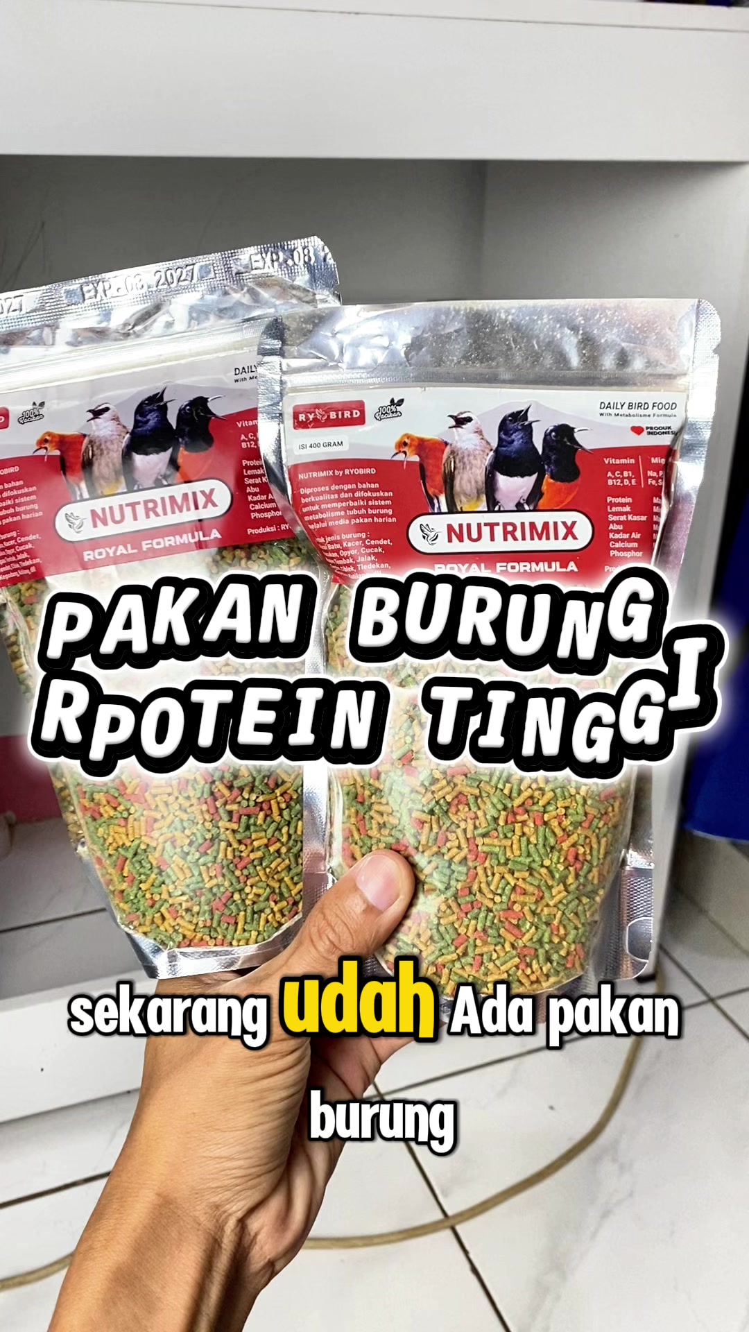 @kicau mart