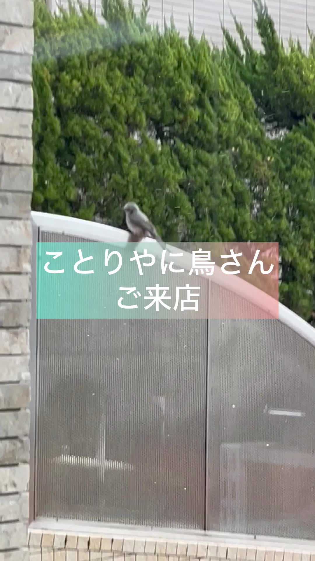 @ユニフォームプラザ ことりや