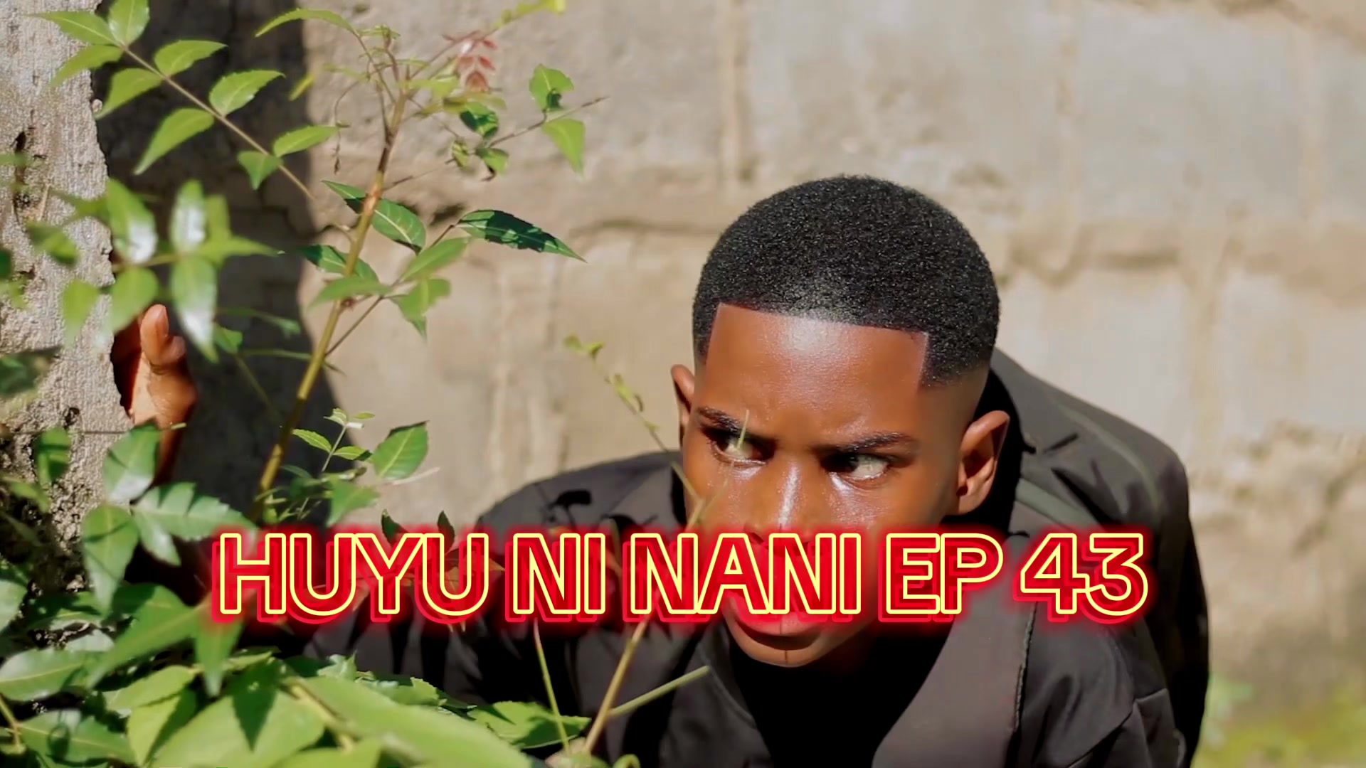 @KASONGO WA DUBU🐻_og