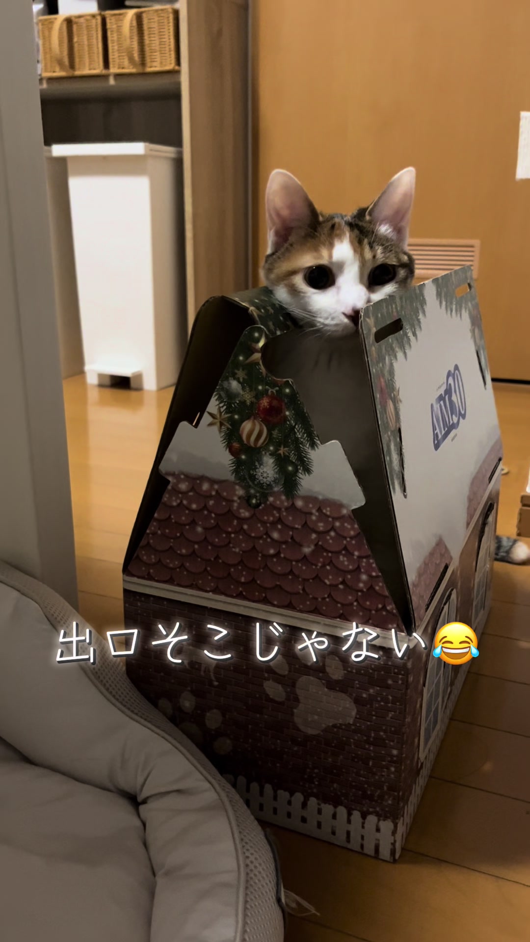 @ふくらんうみ🍶