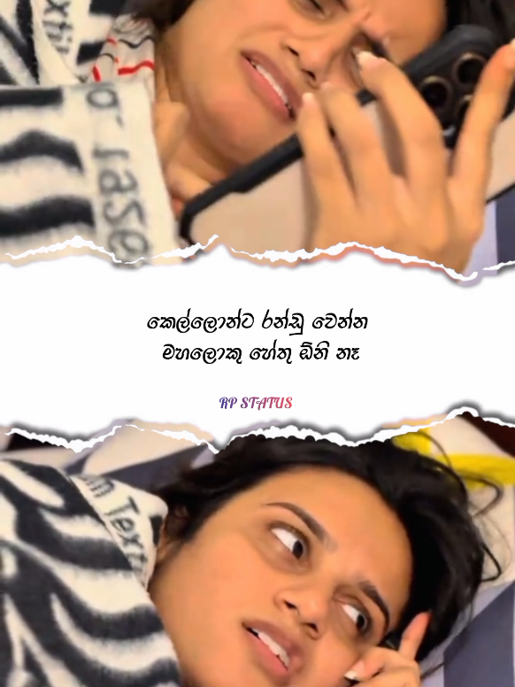 @||> RP 🇱🇰🐰❤️ <||