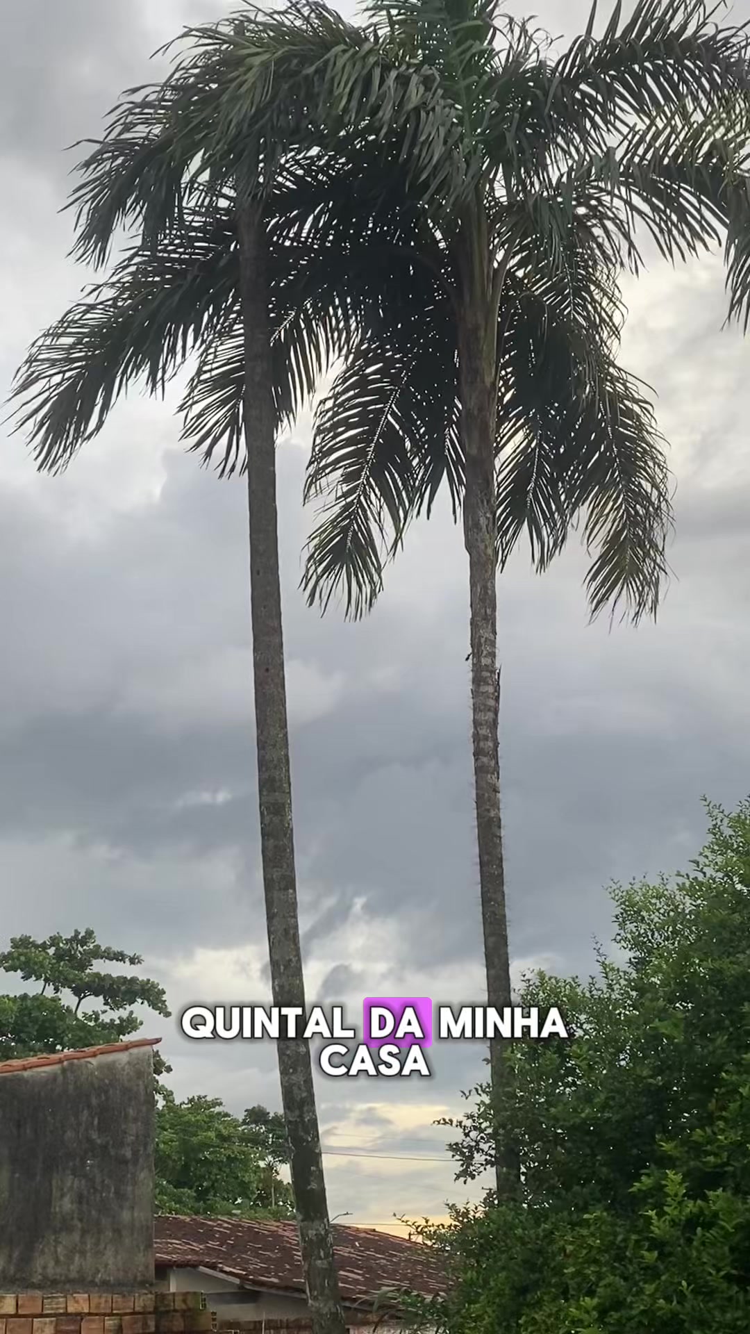 @casosreais