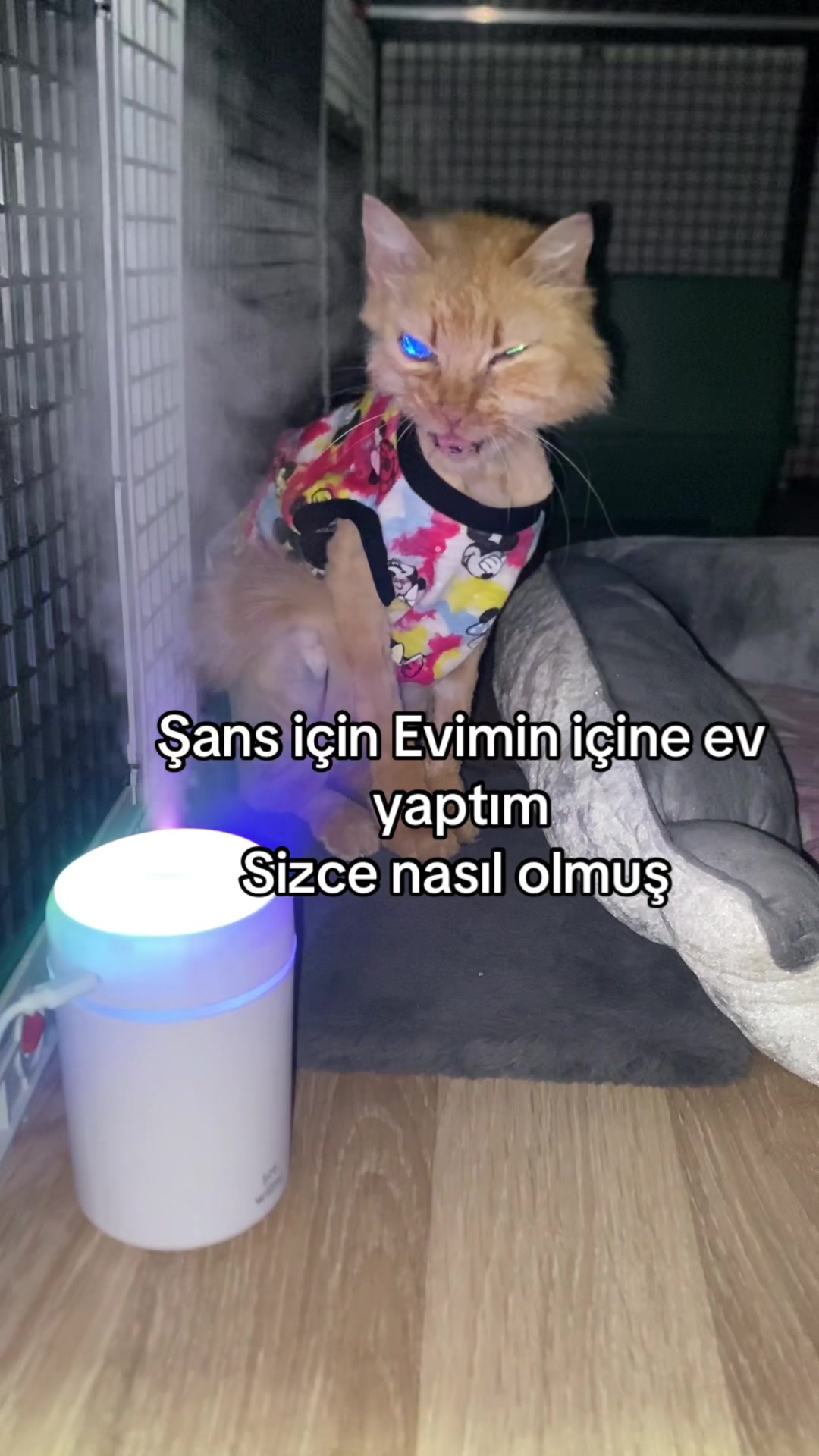 @yudummz_