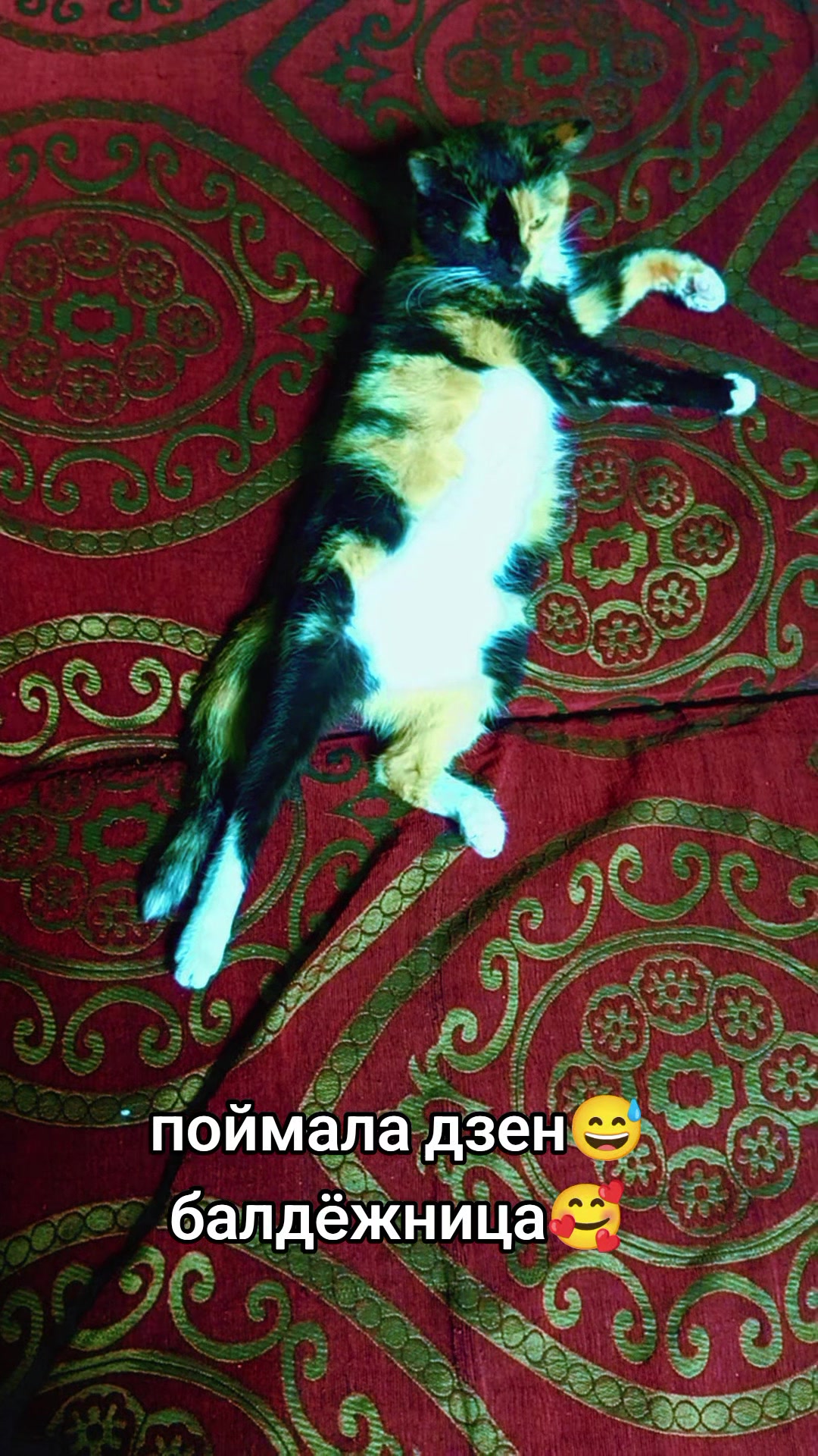 @user278533368490камета