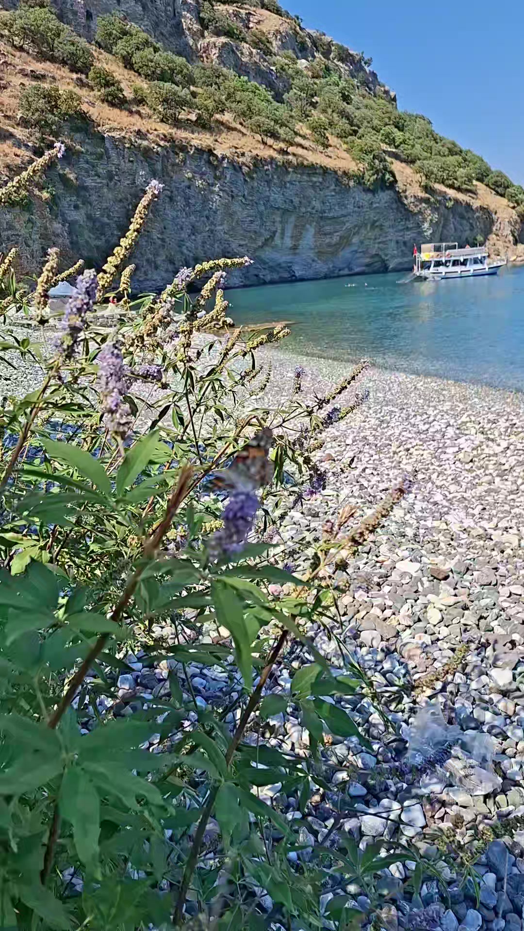 @G&uuml;l