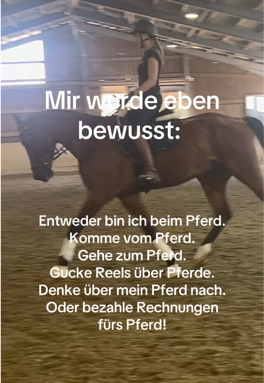 @Katharina Frank