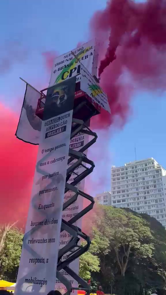 @Resist&ecirc;ncia Felina 🇧🇷