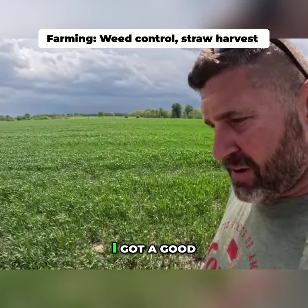 @Kip Siegler Farming