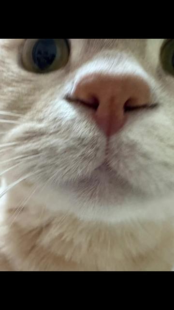 @ð«ð§ããã±ã³ðïžãããµãð§ð«