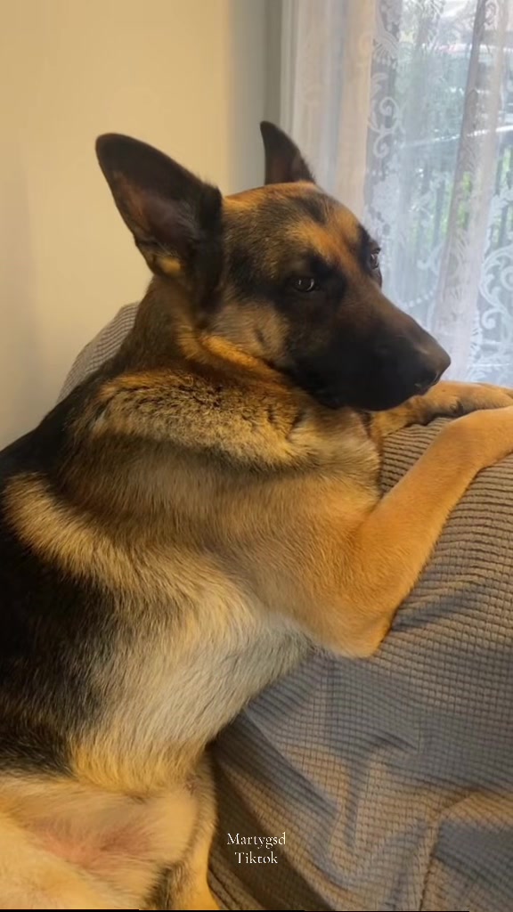 @Martygsd
