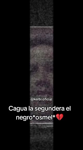 @kerbi.oficial