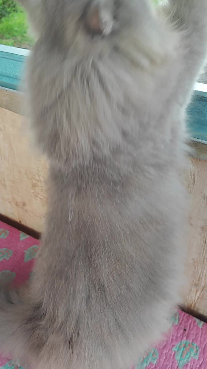 @MiSsLooFa