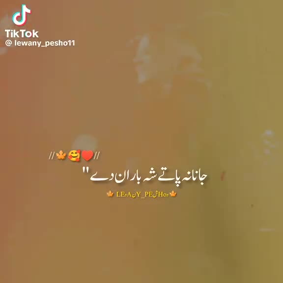 @Abbas khan