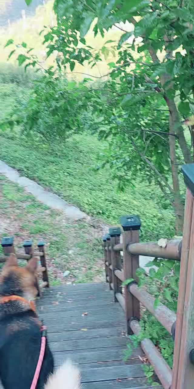 @커피향