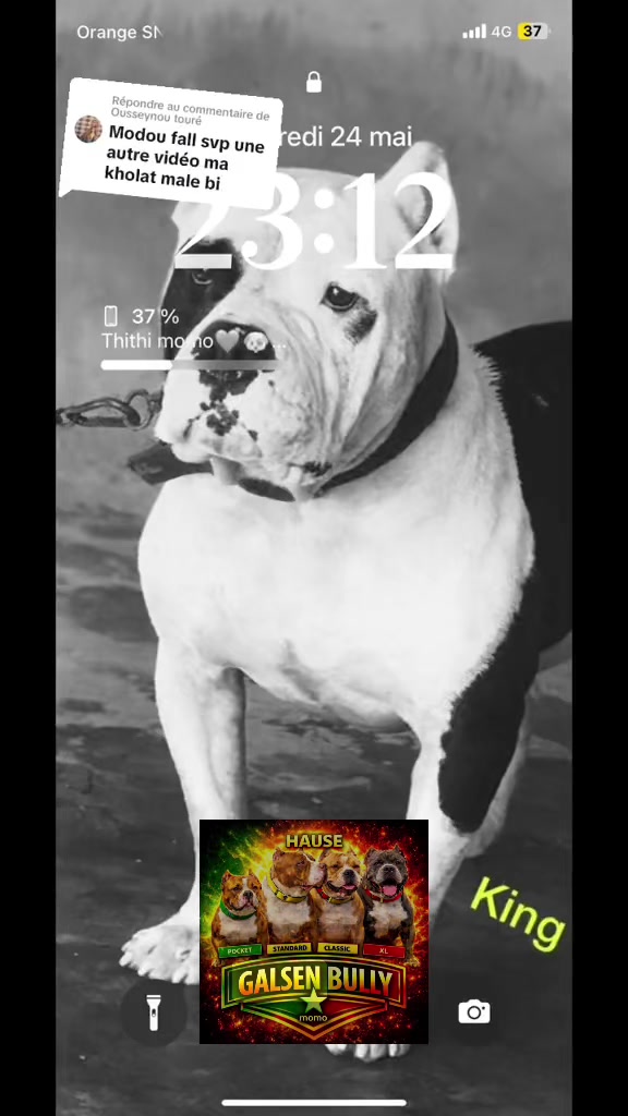 @Momoparleauxchiens🇸🇳🇩🇪