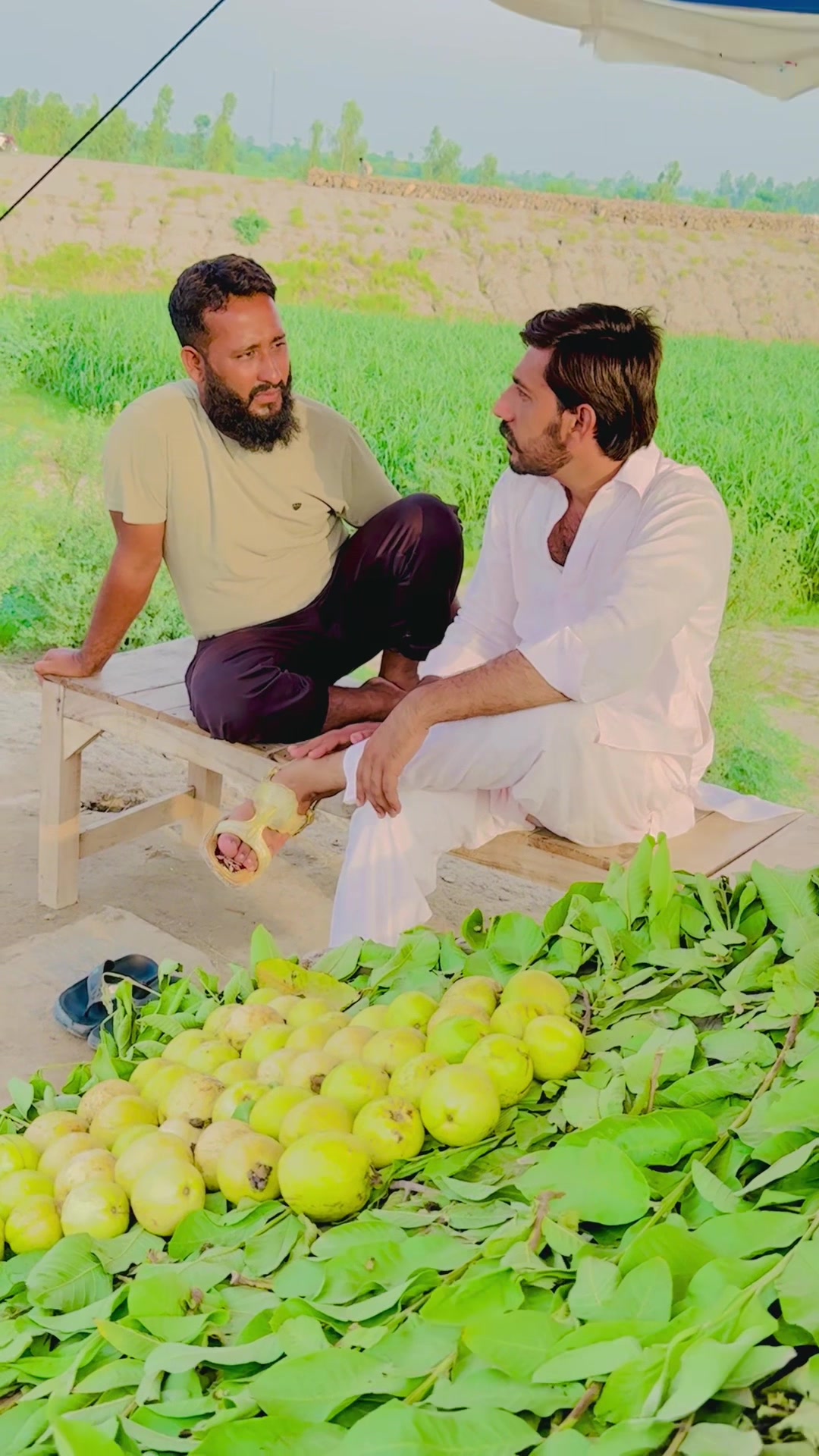 @Nawab Shahid Khan Sial
