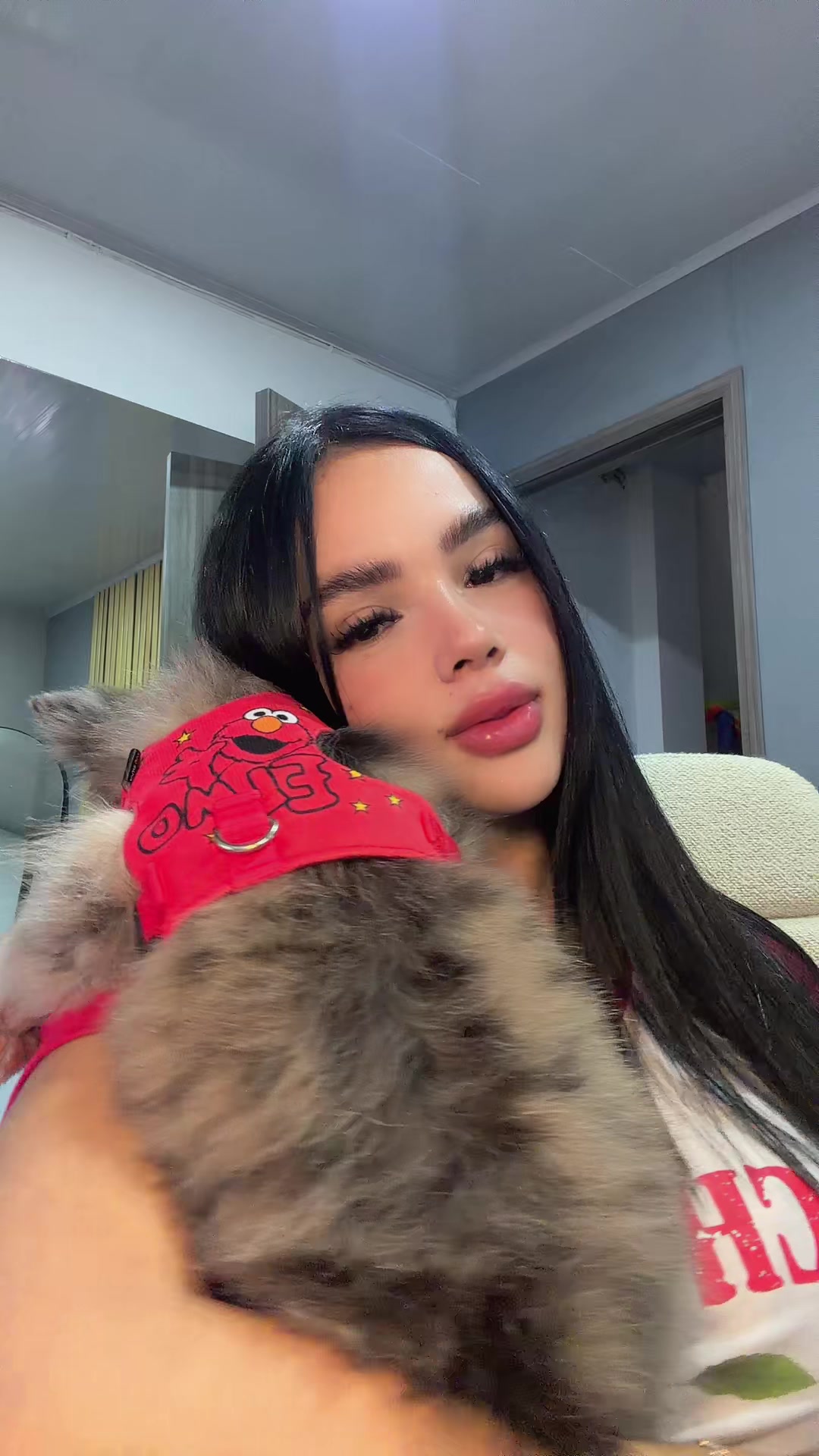 @Emily Ferrer😻🚀