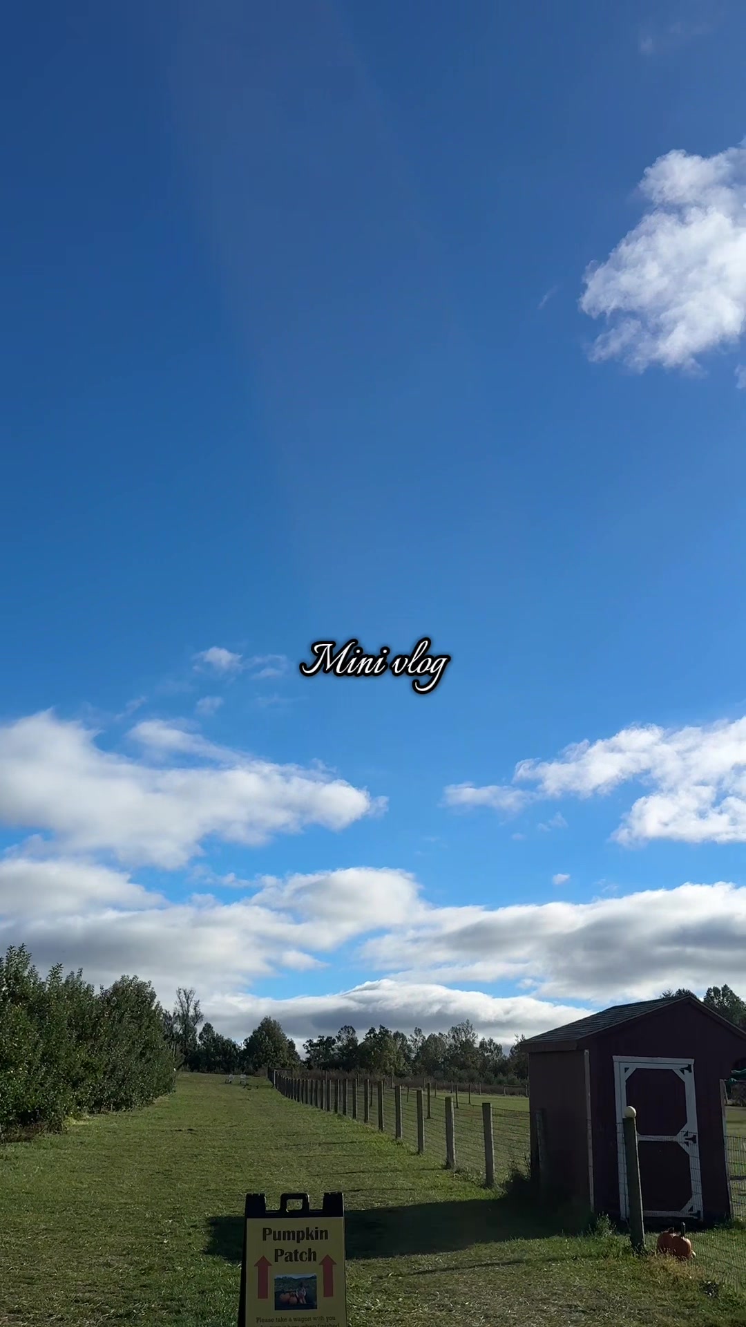 @🦢?