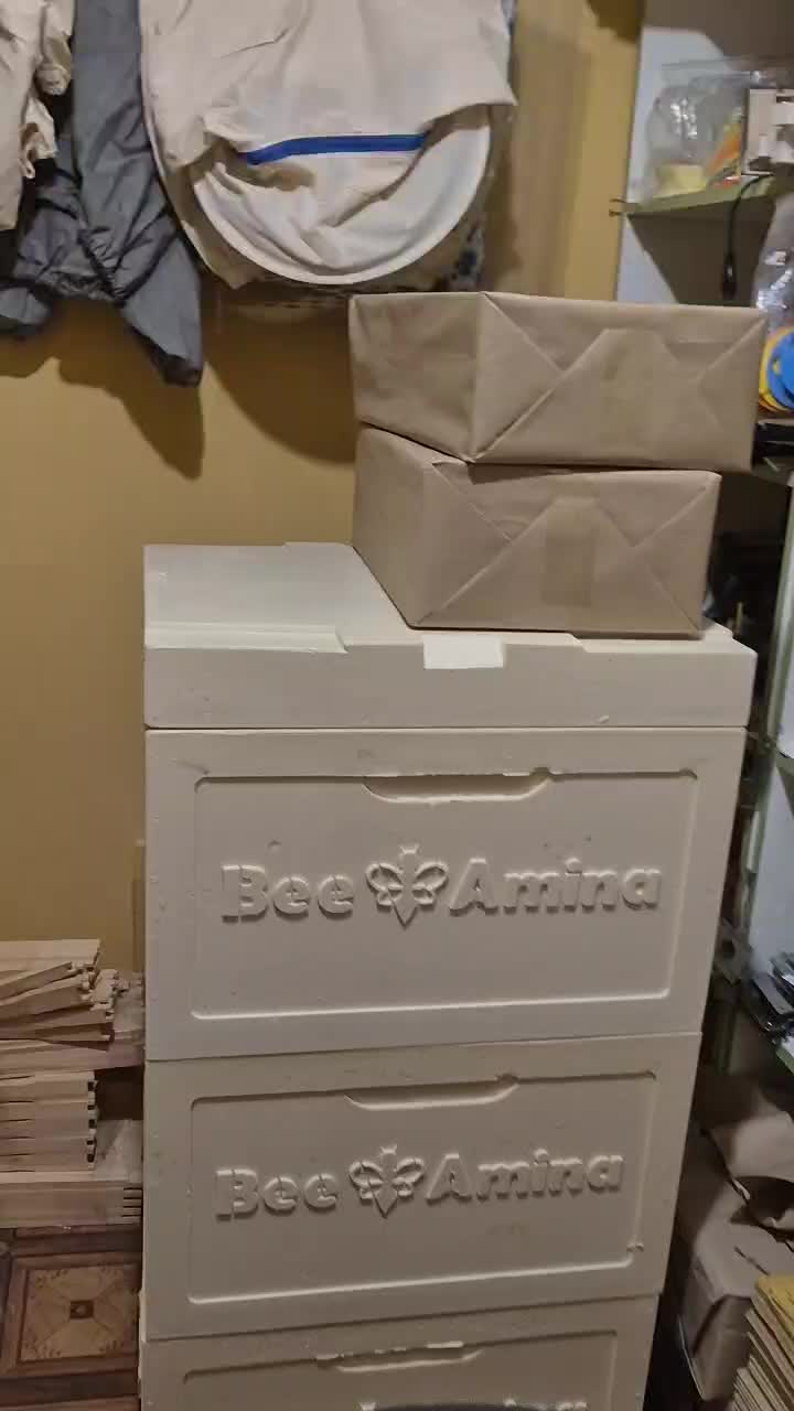 @BEEAMINA