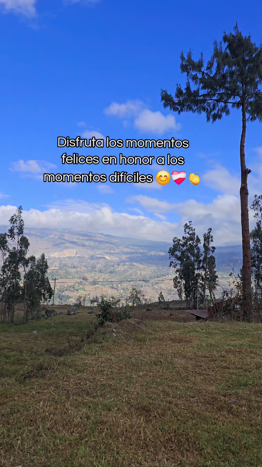 @Alesy🦋