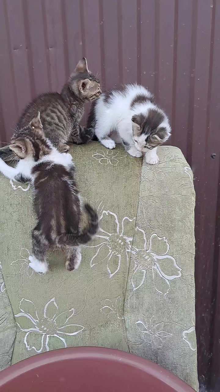 @Тетяна Хільчук