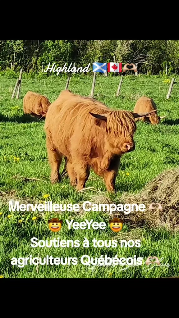 @La Redneck du Québec 🤠🤟🏻🥰