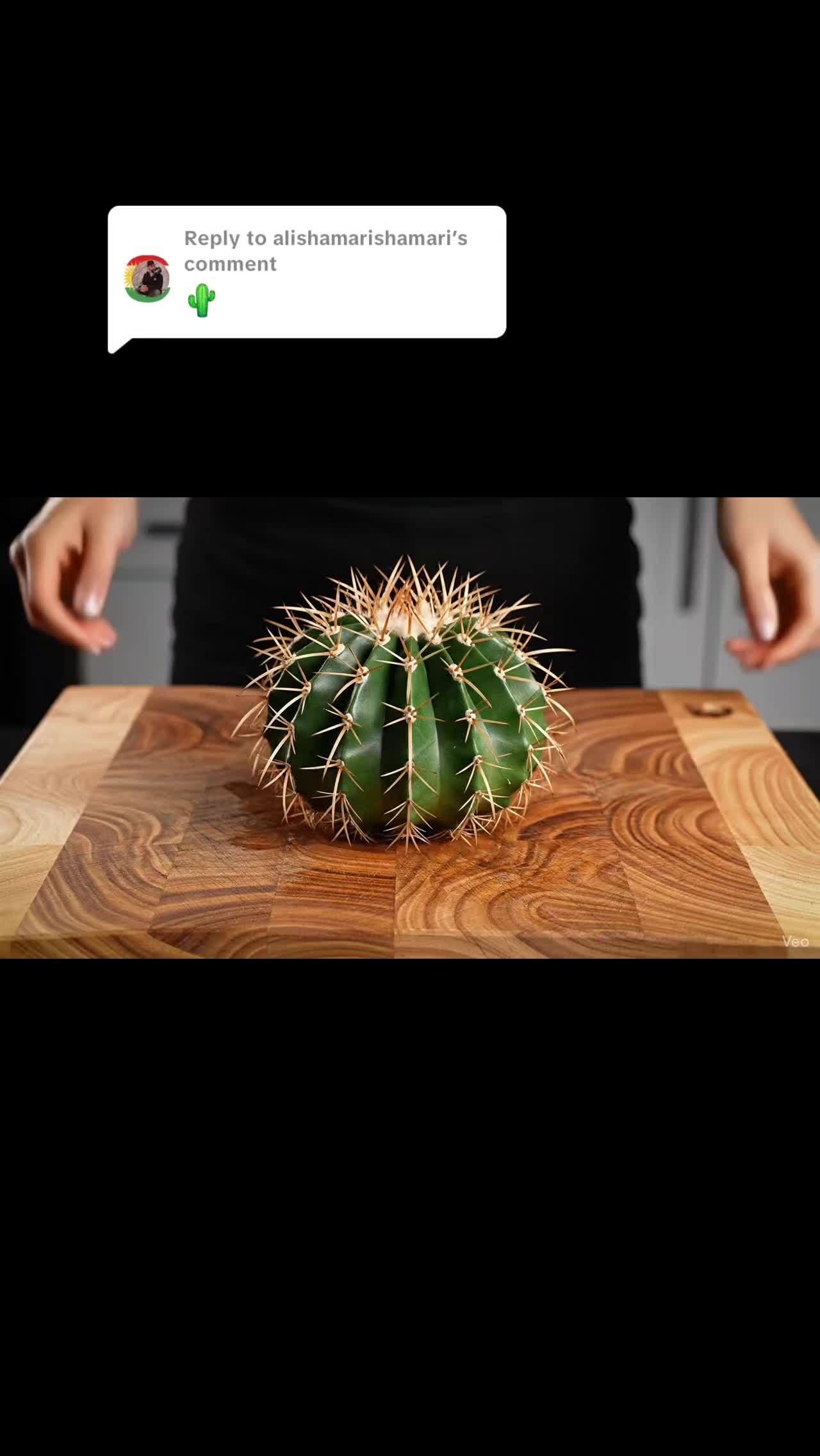@TheSmasherASMR