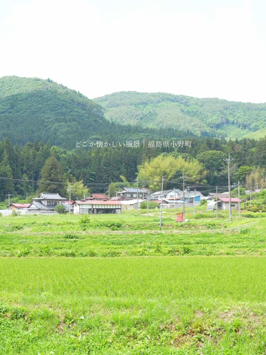 @ほんとの日本