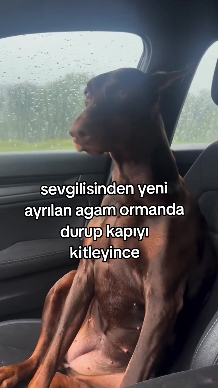 @rolland