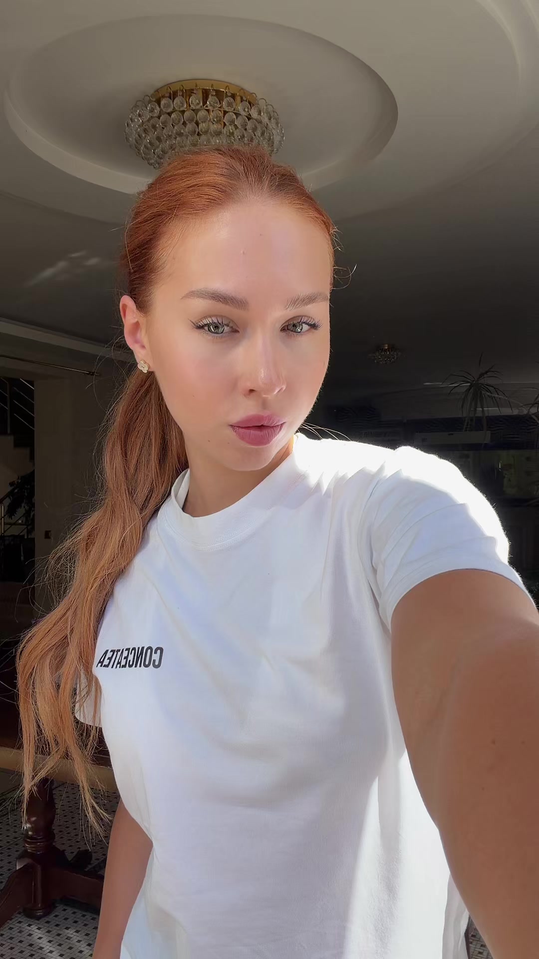 @Gonceatea