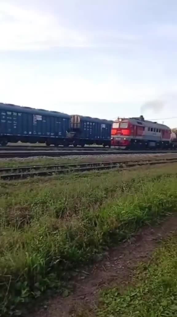 @ПСЫЖ_НАСТОЯЩИ