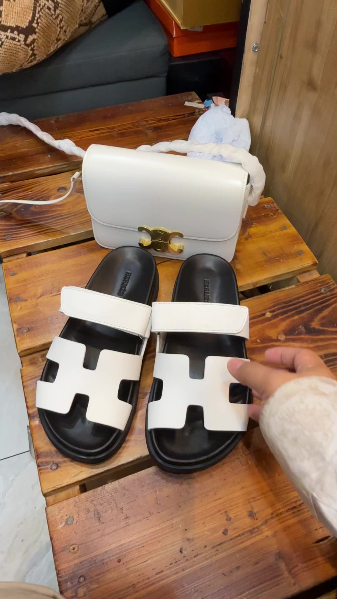 @sutan.bolgia.sire