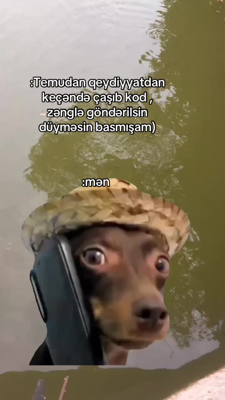 @๐๐๐๐๐๐๐ฃ