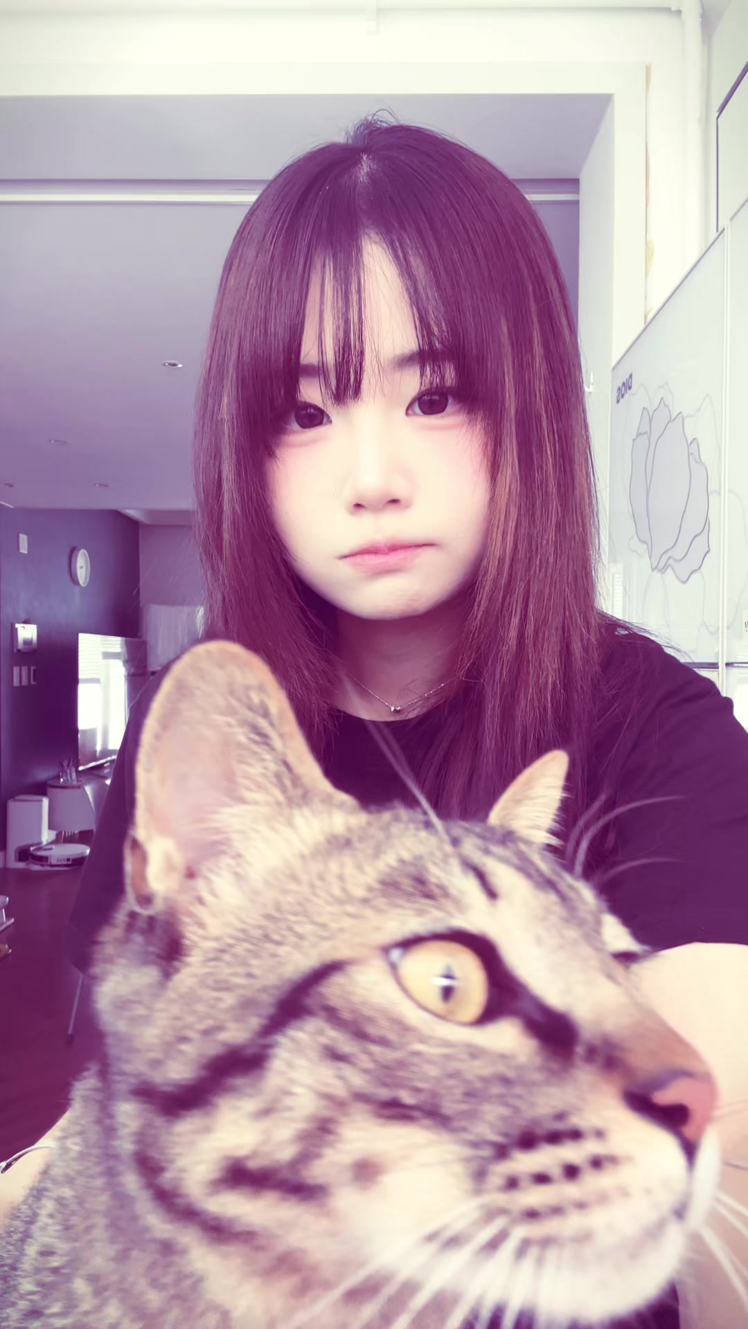 @ํธ์