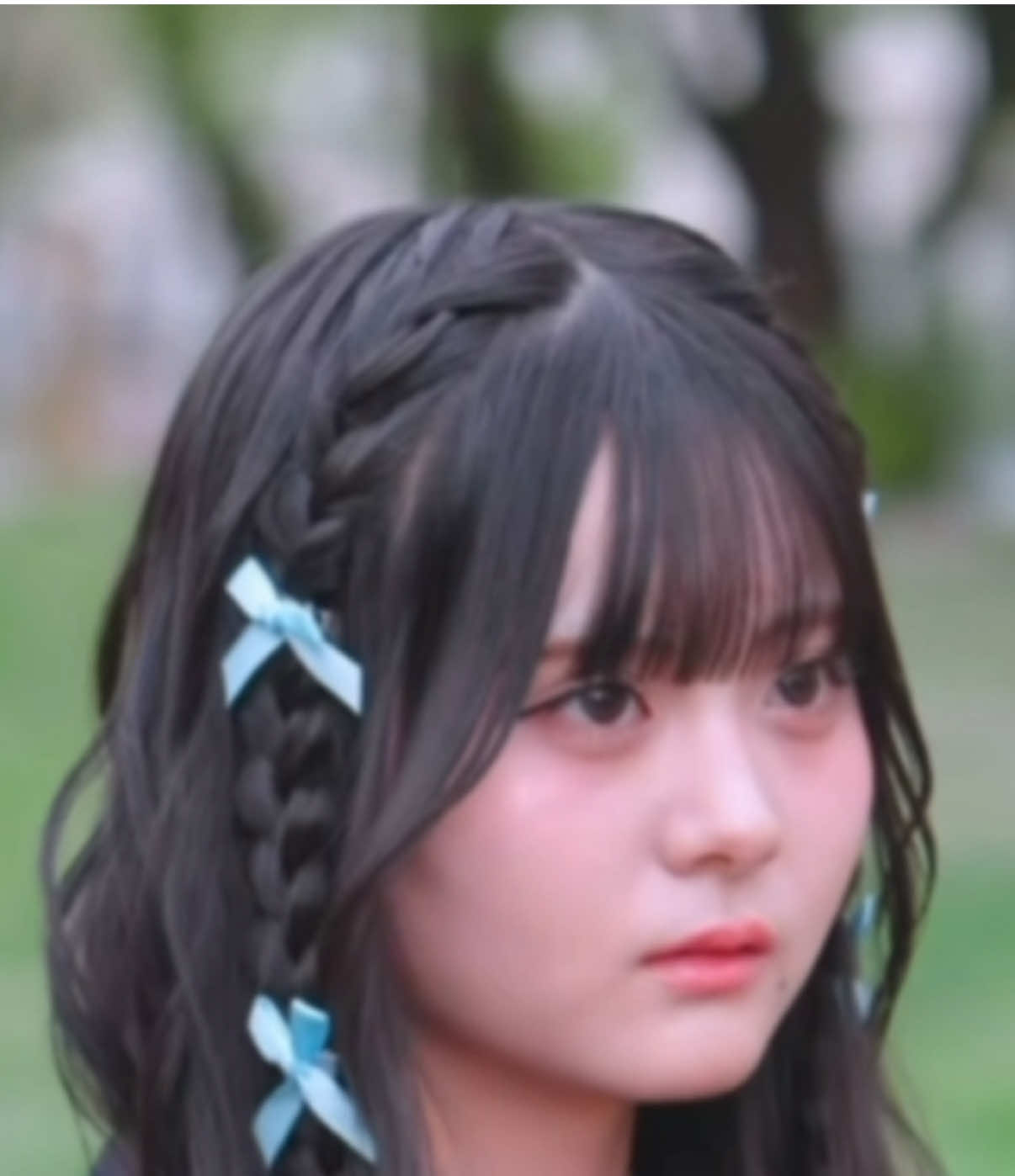 @ちわわぁ