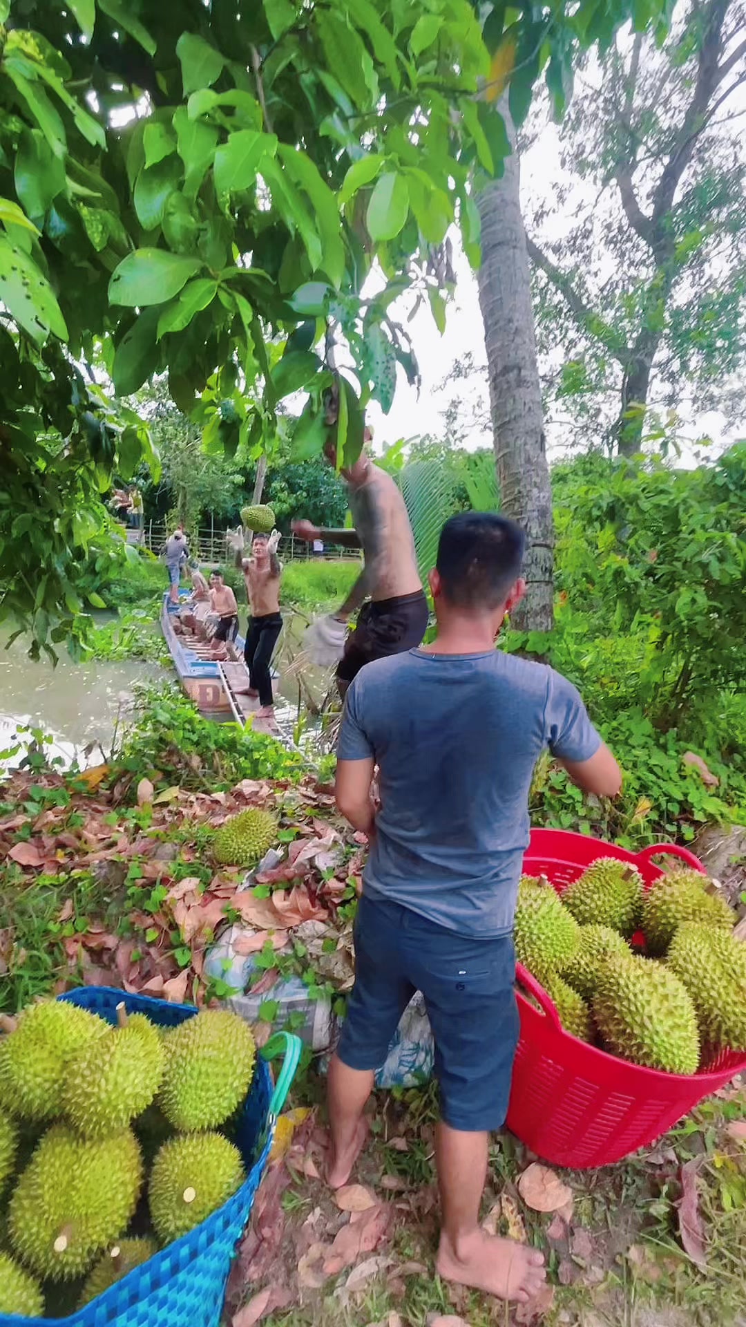 @Vinh Bùa